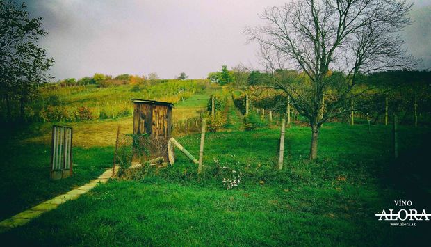 Kam na víkend - Slovakia.travel