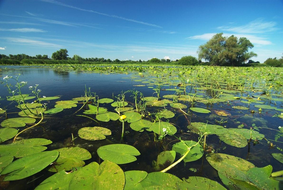 Záhorie - Slovakia.travel