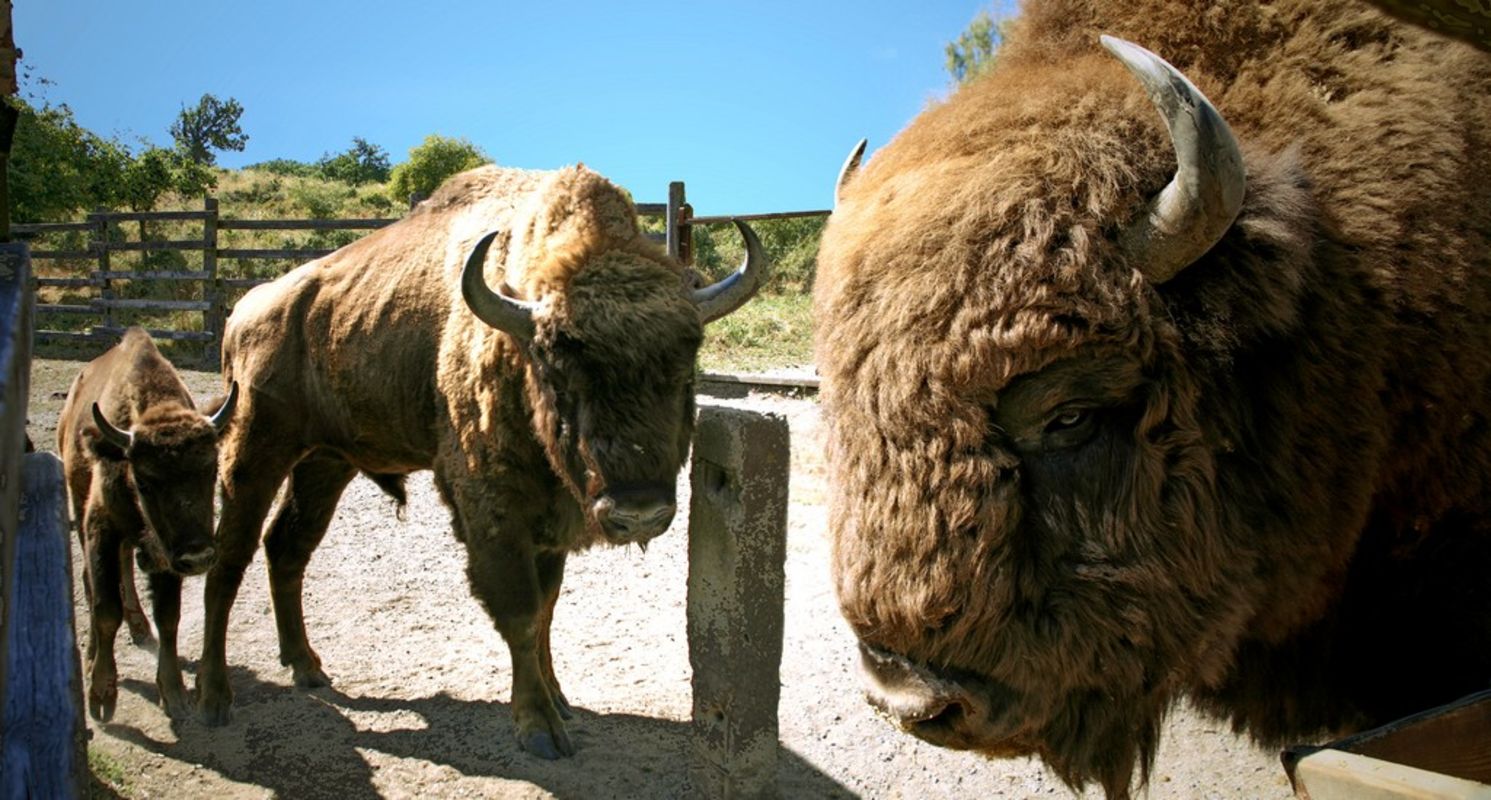 Nitriansky kraj - Slovakia.travel